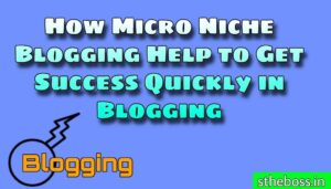How Micro Niche Blogging Help to Get Success Quickly in Blogging