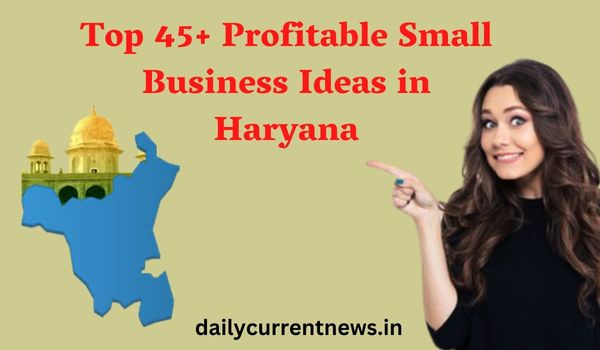 Small Business Ideas in Haryana